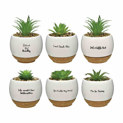 Puns Intended Succulent Pots